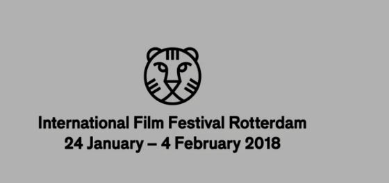 producoes nacionais no iffr 2018