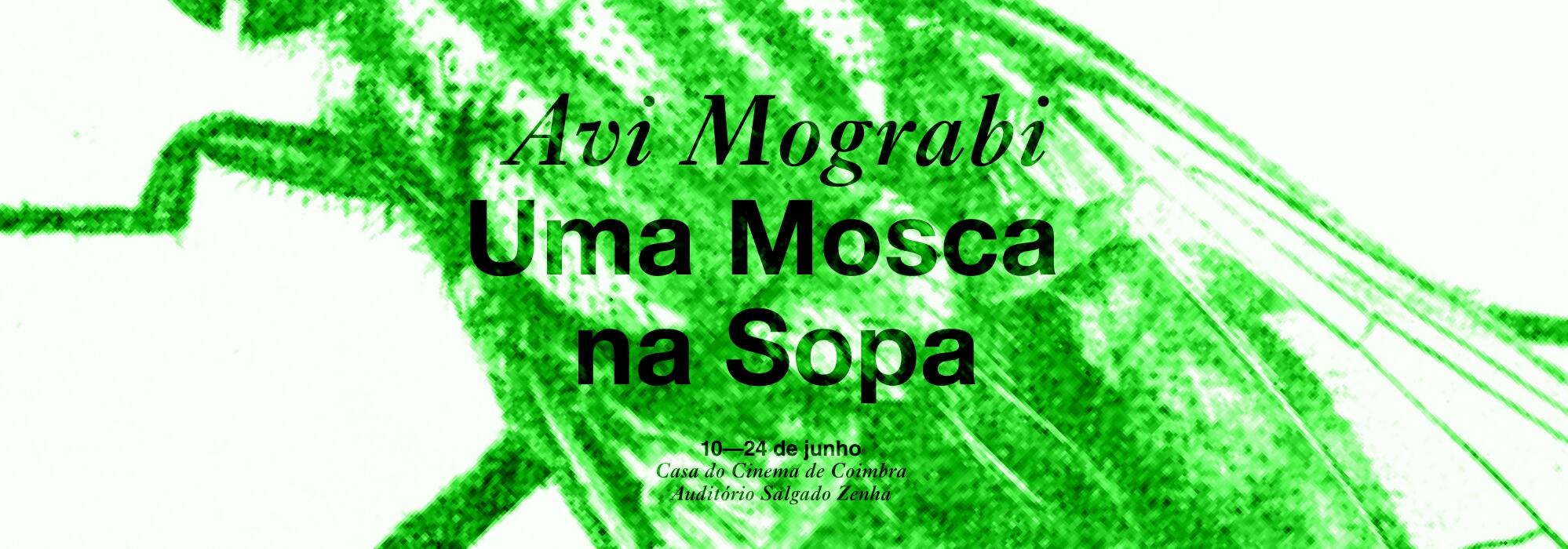 avi mograbi